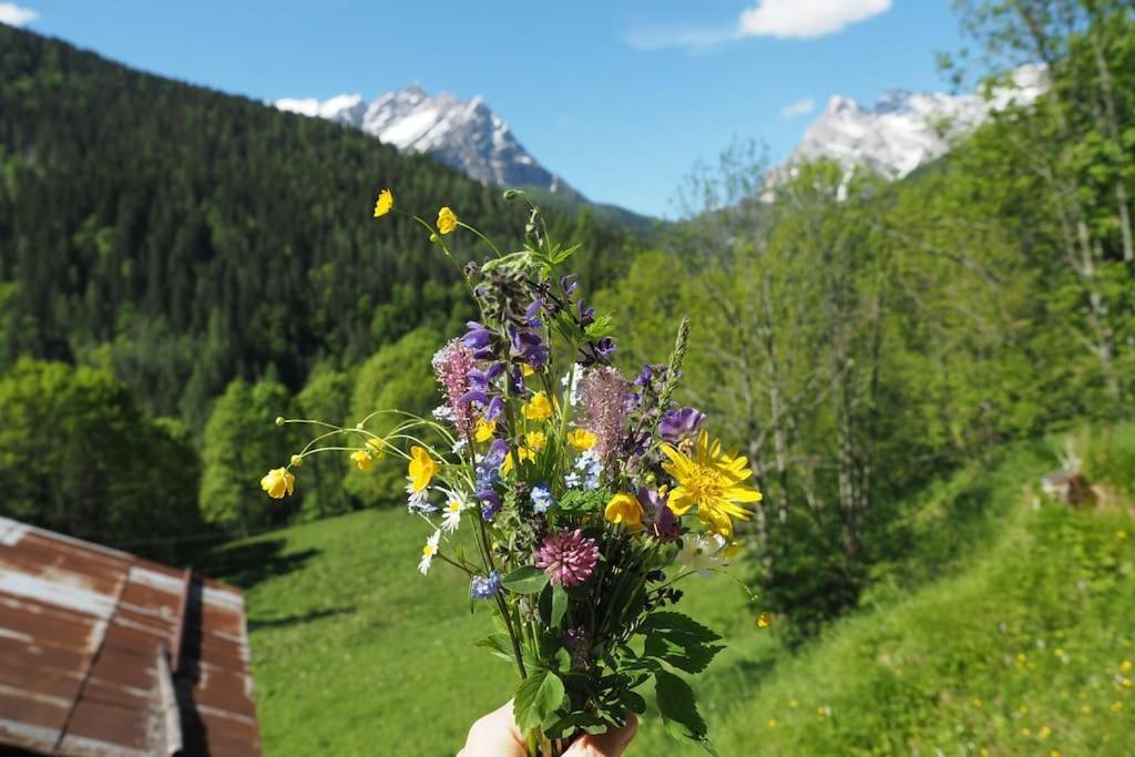 Dalla Dora- A Peaceful Place In The Dolomites Dont Eksteriør bilde